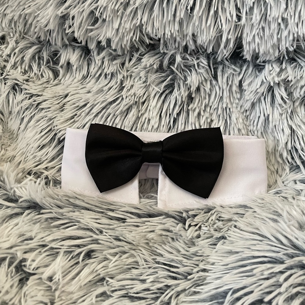 Dog Velcro Bowtie -Buy 1 , Get 1/2 Off!